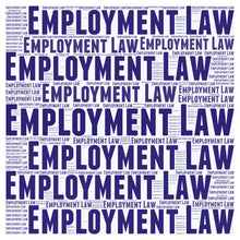 Load image into Gallery viewer, Employment Law